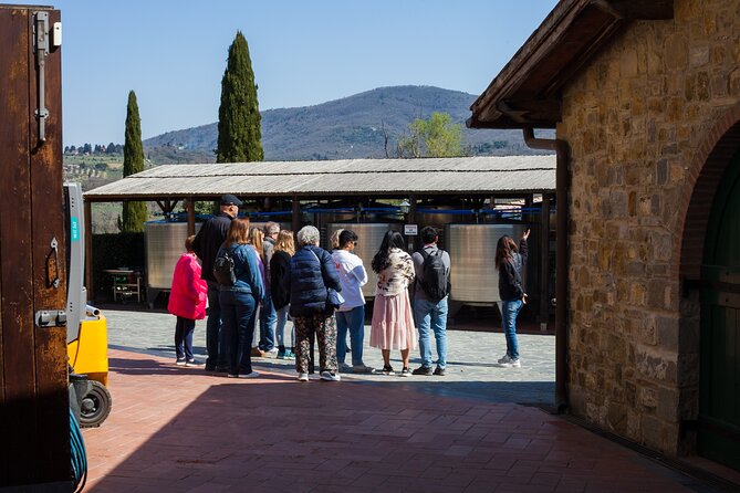 In the Heart of Chianti Classico : Wine, Winery and Tradition - From vineyard to bottle at Fattoria Viticcio