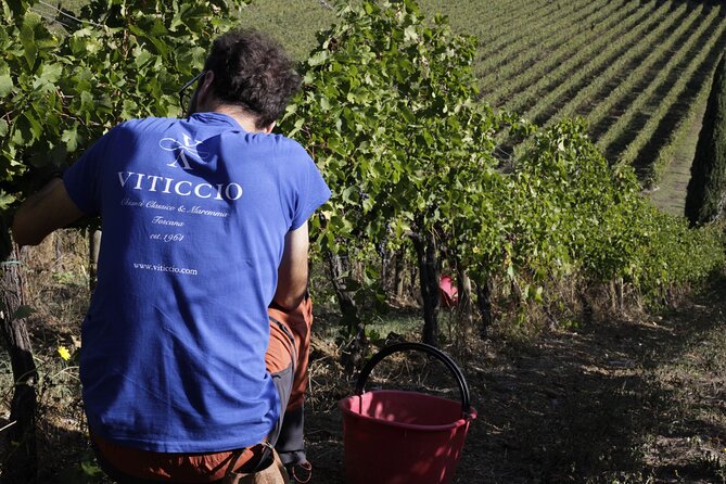 In the Heart of Chianti Classico : Wine, Winery and Tradition - The tone of the visit and who will enjoy it