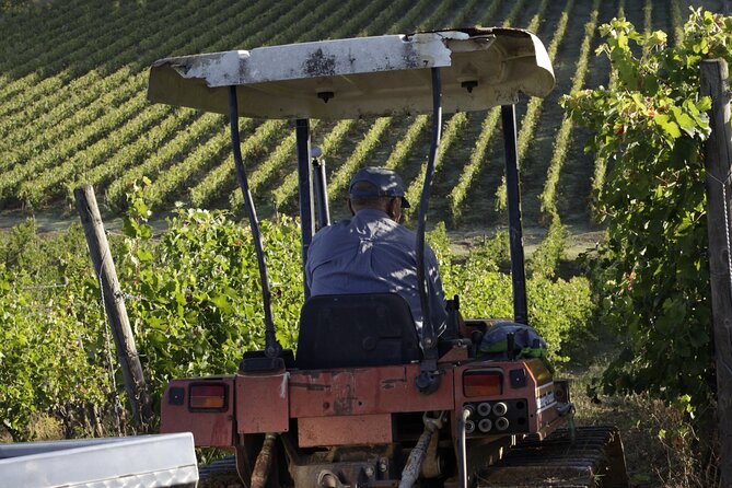 In the Heart of Chianti Classico : Wine, Winery and Tradition - FAQ