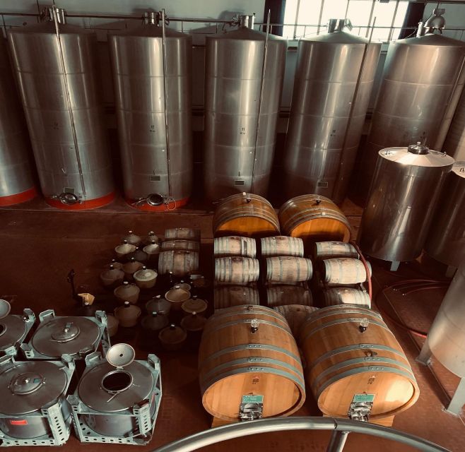Ischia: Vineyard Tour & Wine Tasting Experience w/ Transfers - Key points to know before you book
