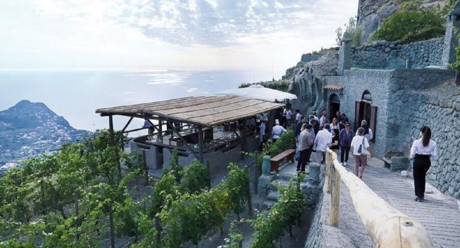 Ischia: Vineyard Tour & Wine Tasting Experience w/ Transfers - Why Ischia wine makes this outing worthwhile