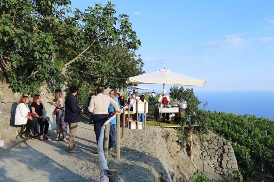 Ischia: Vineyard Tour & Wine Tasting Experience w/ Transfers - Inside the cellar and the story behind each bottle