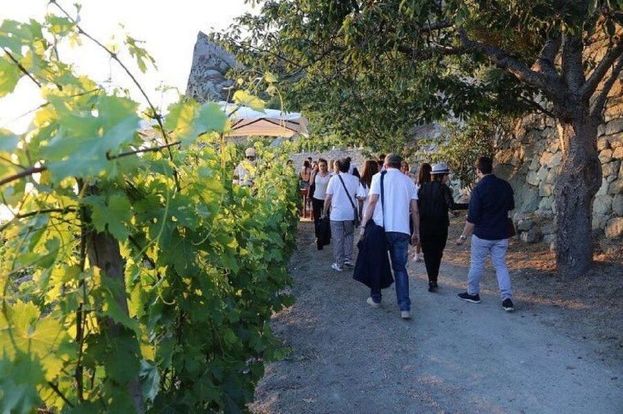 Ischia: Vineyard Tour & Wine Tasting Experience w/ Transfers - Practical details that can make the day smoother