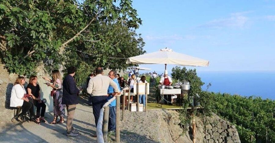Ischia: Vineyard Tour & Wine Tasting Experience w/ Transfers - The 30-minute transfer from your Ischia hotel