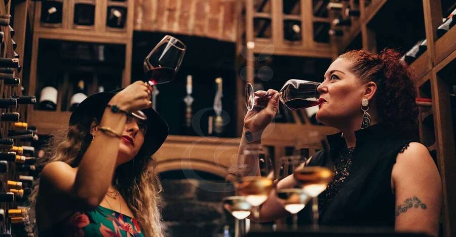 Istanbul: Wineries Tour with a Private Sommelier - Key points at a glance