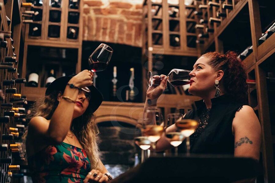 Istanbul: Wineries Tour with a Private Sommelier - Three hours, three Istanbul wine stops