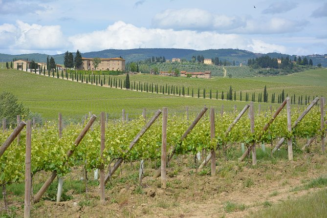 It's Wine Time! 2 wineries & farm-to-table lunch—max 8 pp - What the guides bring to the day
