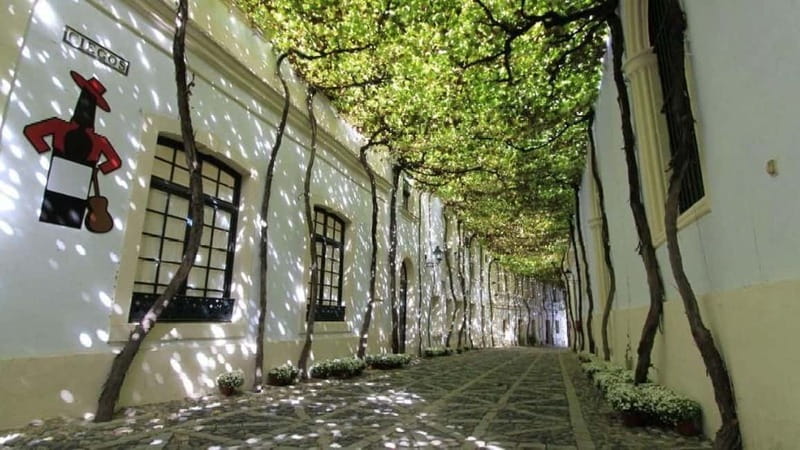 Jerez: 1.5-Hour Sherry Winery and Tasting Tour - Entering the Tío Pepe bodega