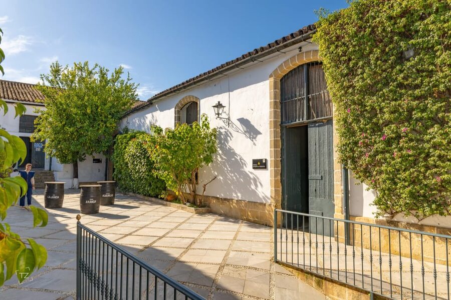 Jerez: Bodegas Álvaro Domecq Guided Tour with Wine Tasting - The Fino cellar and the grapes of Jerez