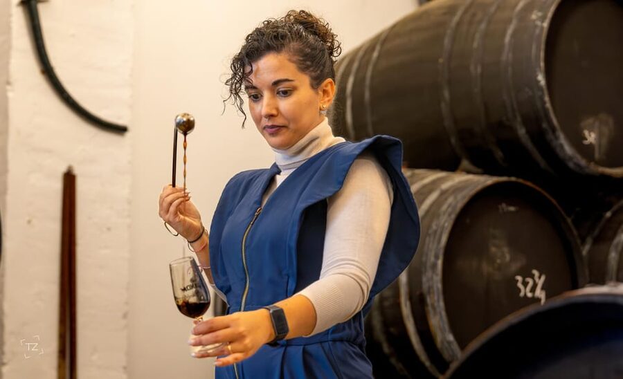 Jerez: Bodegas Álvaro Domecq Guided Tour with Wine Tasting - What you taste at the end