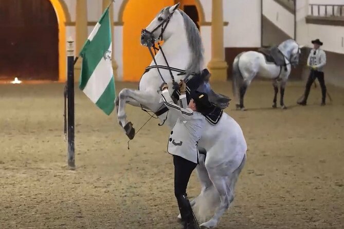 Jerez & Cadiz Winery with Tasting & Opt Horse Show from Seville - Key points to know before booking