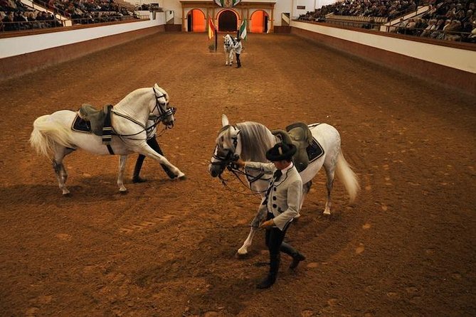 Jerez & Cadiz Winery with Tasting & Opt Horse Show from Seville - Two hours to find your Cádiz