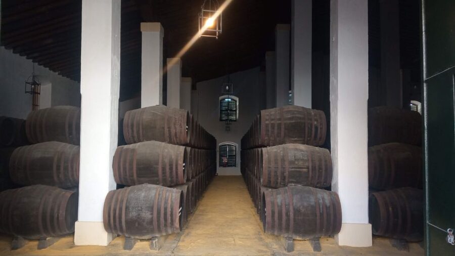 Jerez de la Frontera: Sherry Winery Tour with Tasting - Entering the 1886 Cayetano del Pino bodega