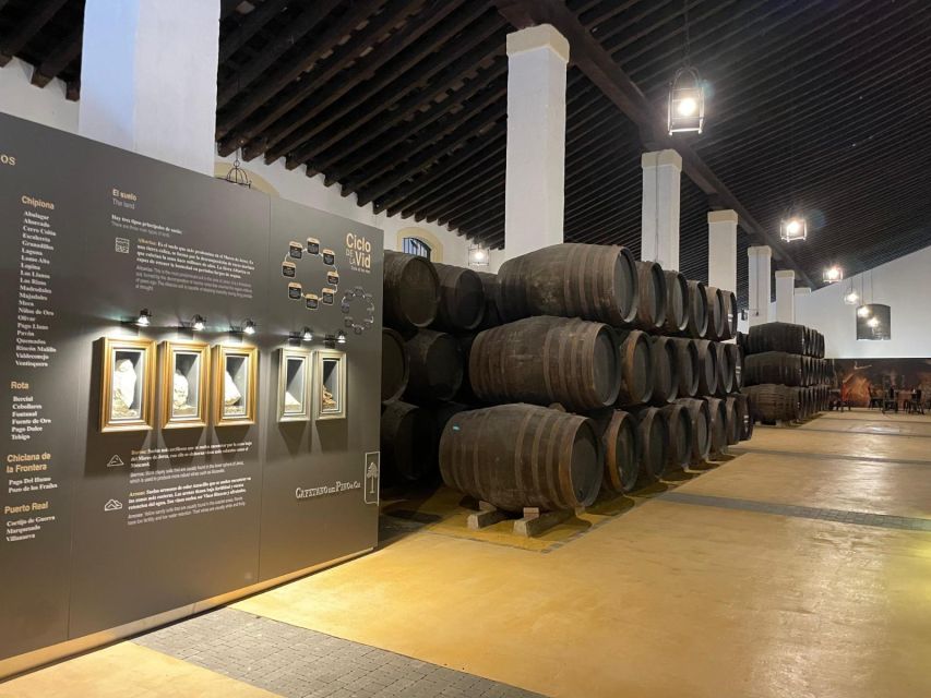 Jerez de la Frontera: Sherry Winery Tour with Tasting - Why the $29 price makes sense