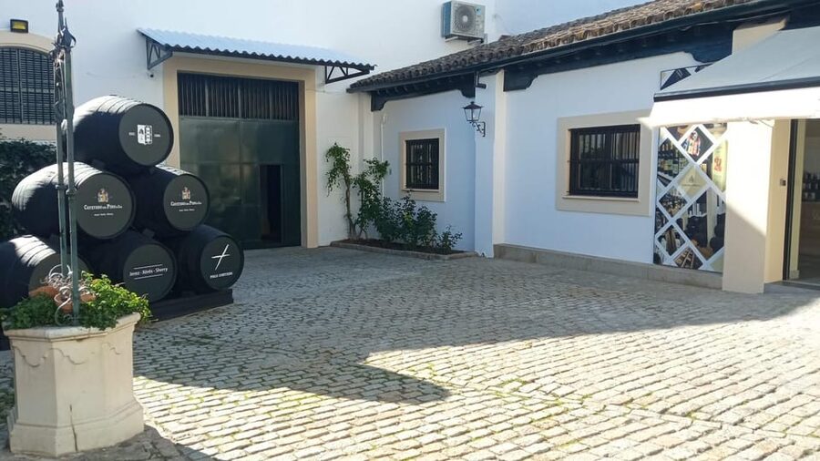 Jerez: Guided Winery Tour with Wine Tasting - Walking through the winery