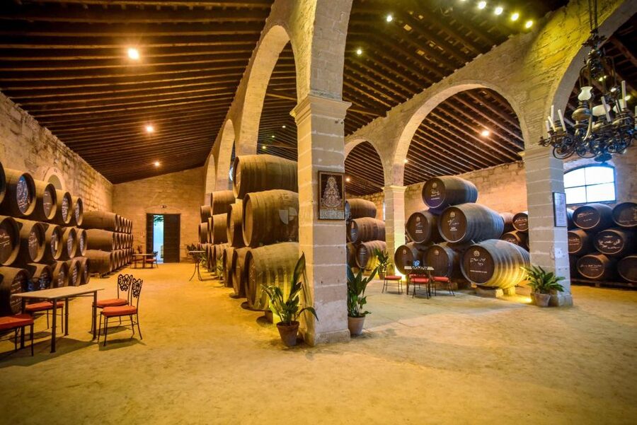 Jerez: Guided Winery Tour with Wine Tasting - Why $22 is a fair price