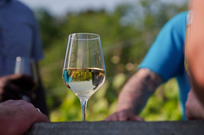 Jersey Premium Vineyard and Distillery Wine Tour and Tasting - Why La Mare’s one-hour format works
