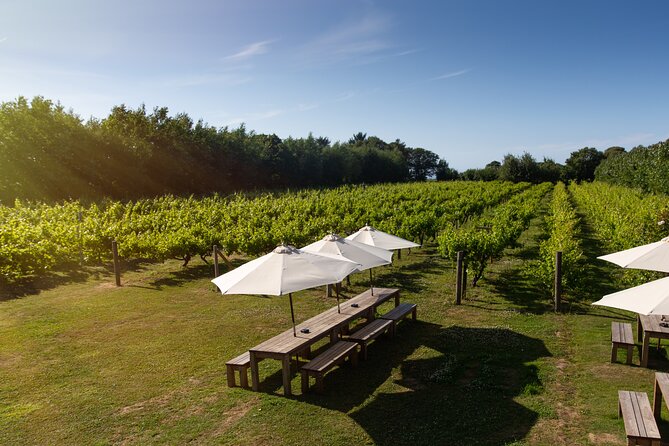 Jersey Premium Vineyard and Distillery Wine Tour and Tasting - The premium finish in the garden room