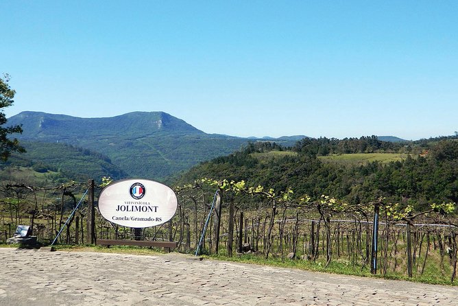 Jolimont Winery Tour - Visitation and Tasting - Canela RS - What makes the visit feel worthwhile