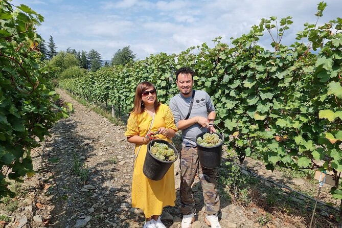 Kakheti - Small wineries and family-cooked lunch • Private tour - Kardenakhi delivers the meal you will remember