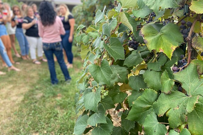 Kansas City Brewery, Winery, and Distillery Tour - Guides Make the Short Schedule Work