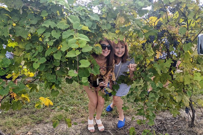 Kansas City Brewery, Winery, and Distillery Tour - Who Will Enjoy This Tour Most