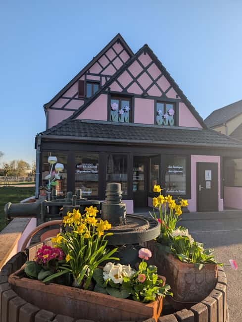 Kaysersberg Vineyard Discover the vineyard and wine, Domaine Meyer-Krumb - Key points to know before you go