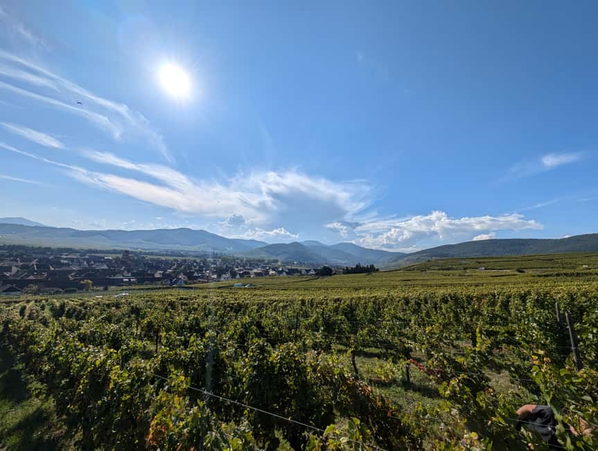 Kaysersberg Vineyard Discover the vineyard and wine, Domaine Meyer-Krumb - A small estate with a personal welcome