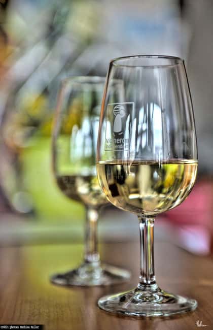 Kaysersberg Vineyard Discover the vineyard and wine, Domaine Meyer-Krumb - Why the $11 price offers good value