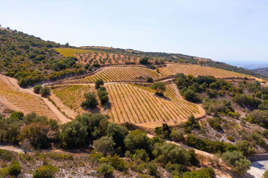 Kefalonia Highlights Robola Winery, Melissani & Fiscardo - Myrtos Beach from above
