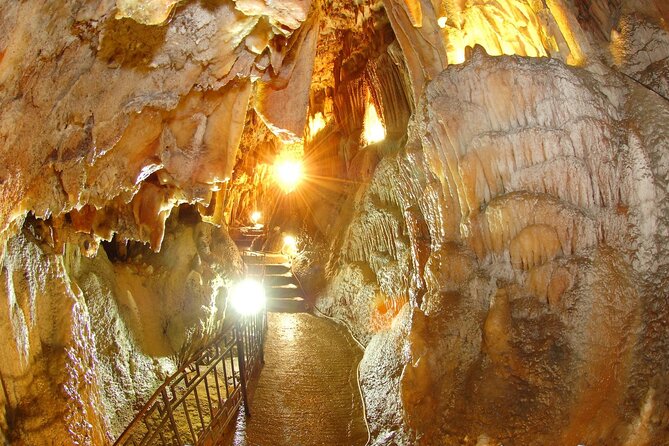 Kefalonia Highlights: Robola Winery, Melissani Lake & Fiscardo - What the $36.12 price really buys you