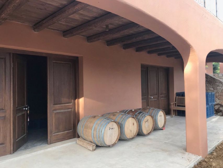 Kefalonia: Private Wine Tasting with Vineyard Tour - What the private vehicle adds