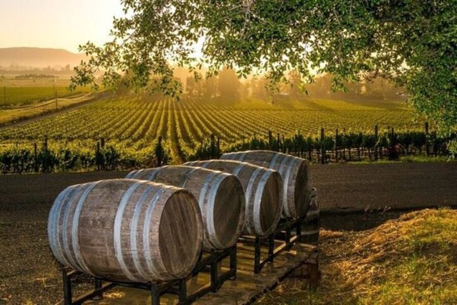 Kefalonia: Private Wine Tasting with Vineyard Tour - Tasting, water, and the pace of the day