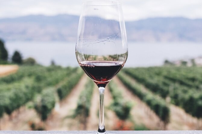 Kefalonia Wine Adventure with 18 Wine Tastings in 3 Wineries - Key points to know before booking