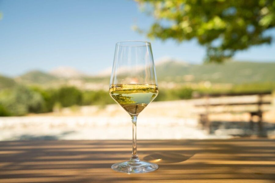 Kefalonia Wine Adventure with 18 Wine Tastings in 3 Wineries - Who should book this Kefalonia wine tour?