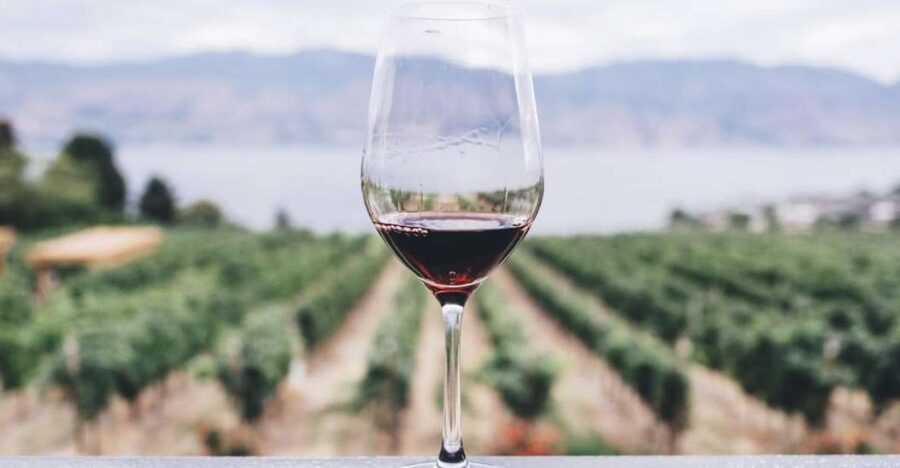 Kefalonia Wine Adventure with 18 Wine Tastings in 3 Wineries - Is $135 a fair price?