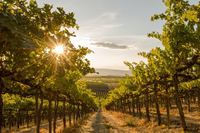 Kelowna Bachelorette Wine Tour Full Day Guided With 5 Wineries - Black Swift closes with a full wine range