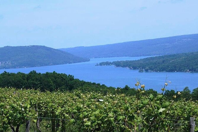 Keuka Lake Winery Tour - Key points to know before you book