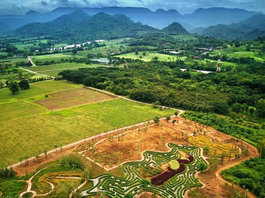 Khao Yai Vineyard Tasting Tour & Horse Farm Visit - Key points to know before booking