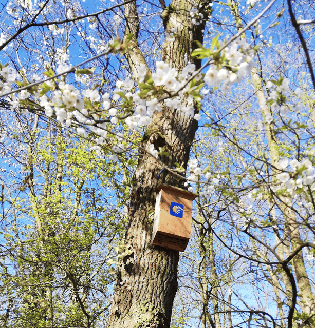Koblenz: The Living Vineyard, Nature & Wine Enjoyment - Tasting four wines along the route