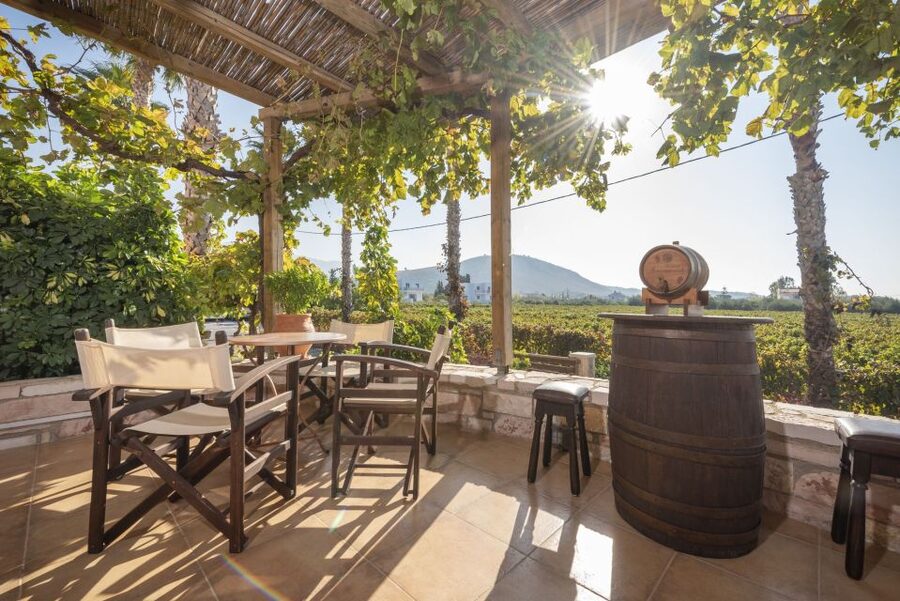 Kos: Wineries Tour w/ Wine Tastings & Transportation - Hatziemmanouil Vineyards: learn how the wine is made