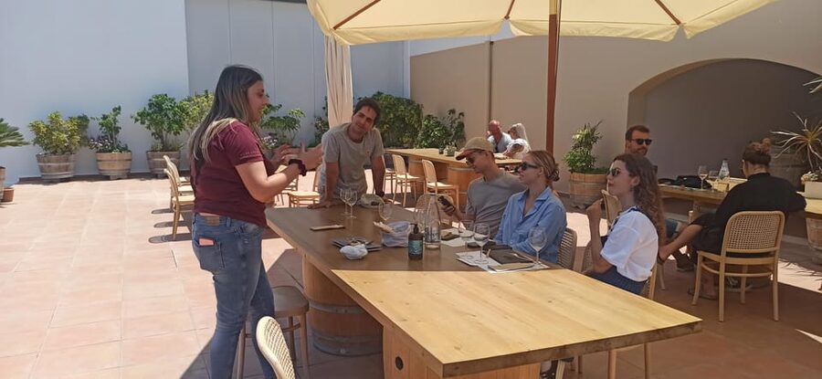 Kos: Wineries Tour w/ Wine Tastings & Transportation - The pace, group feel, and English guidance