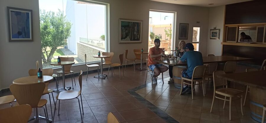 Kos: Wineries Tour w/ Wine Tastings & Transportation - Is $64 a fair price?