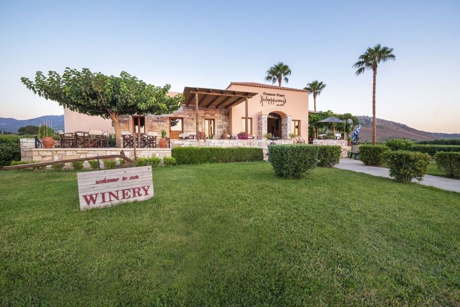 Kos: Wineries Tour w/ Wine Tastings & Transportation - Who should book it?