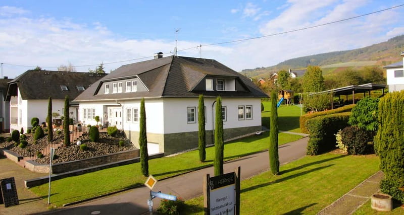 Kröv/Gut Hermes: Wine tour & tasting through vineyard, winery & champagne factory - Should You Book This Gut Hermes Experience?