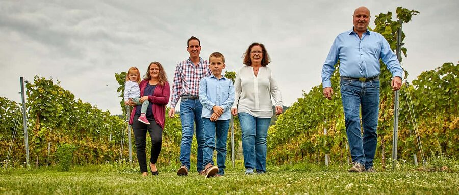 Kröv/Gut Hermes: Wine tour & tasting through vineyard, winery & champagne factory - The 45-Minute Route Through Gut Hermes