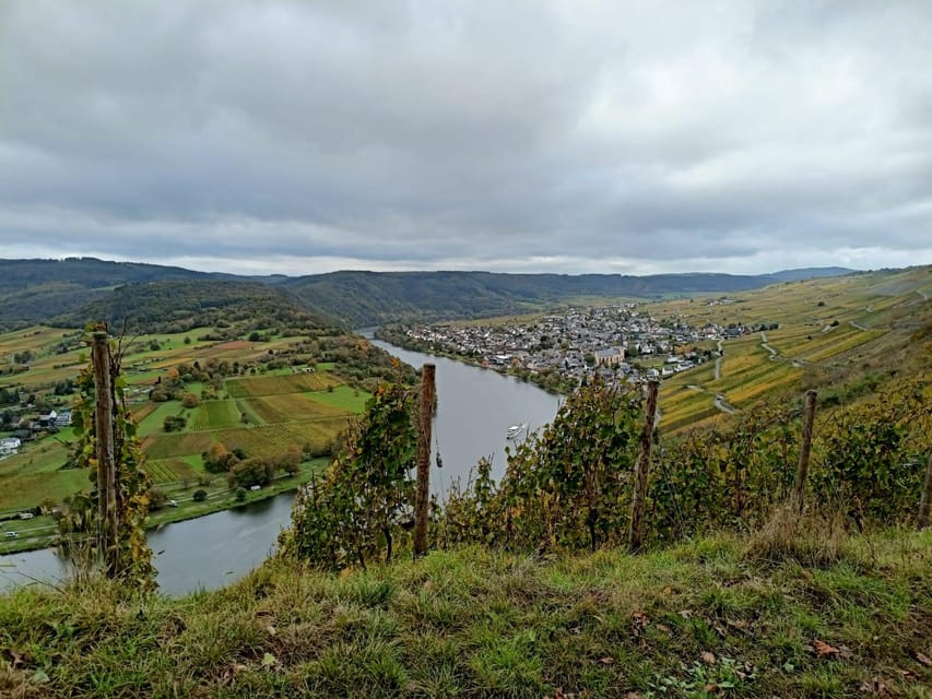 Kröv, Mosel: Covered wagon ride through the vineyards with wine tasting - Key points at a glance