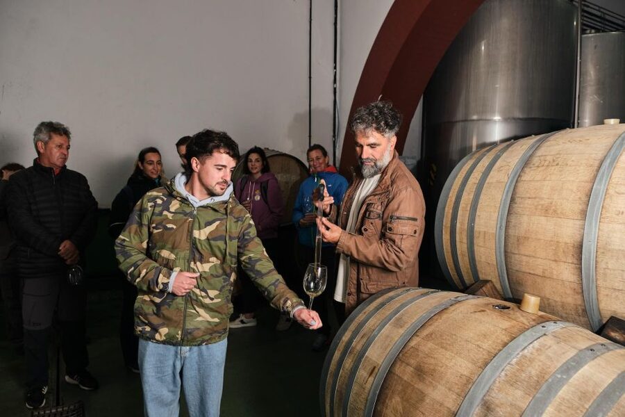 La Palma: Bodegas Teneguia Winery Tour with Wine Tasting - Planning your arrival in Fuencaliente