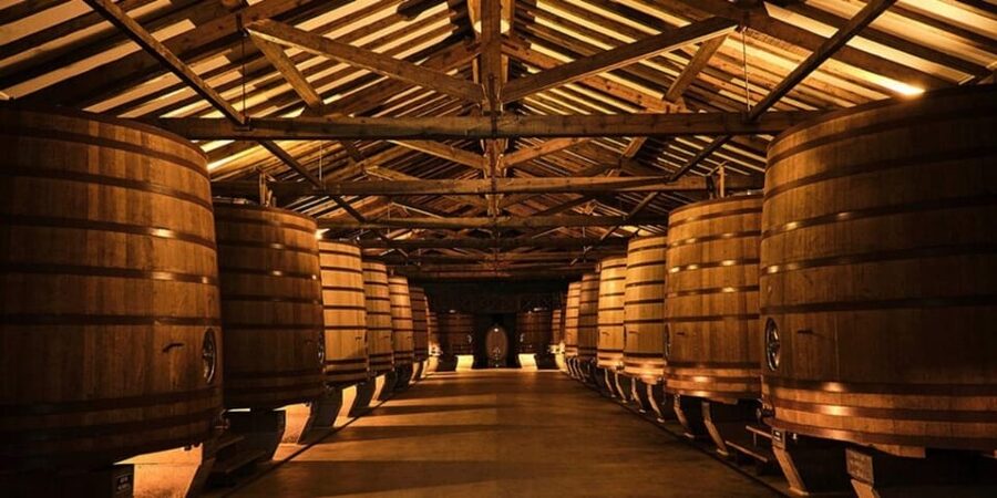 La Rioja: Guided tour of Bodega CVNE and wine tasting - Timing, language, and cancellation