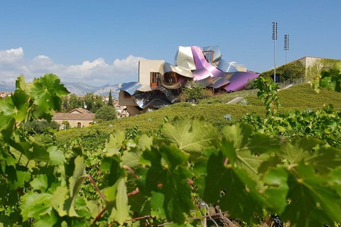 La Rioja wine tour: winery and traditional lunch from Bilbao - From Bilbao to the wine country